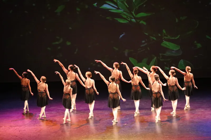 Ballet dancers performing on stage in Ottawa